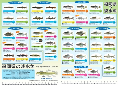 福岡県の淡水魚～魚を使った環境しらべ～PDF
