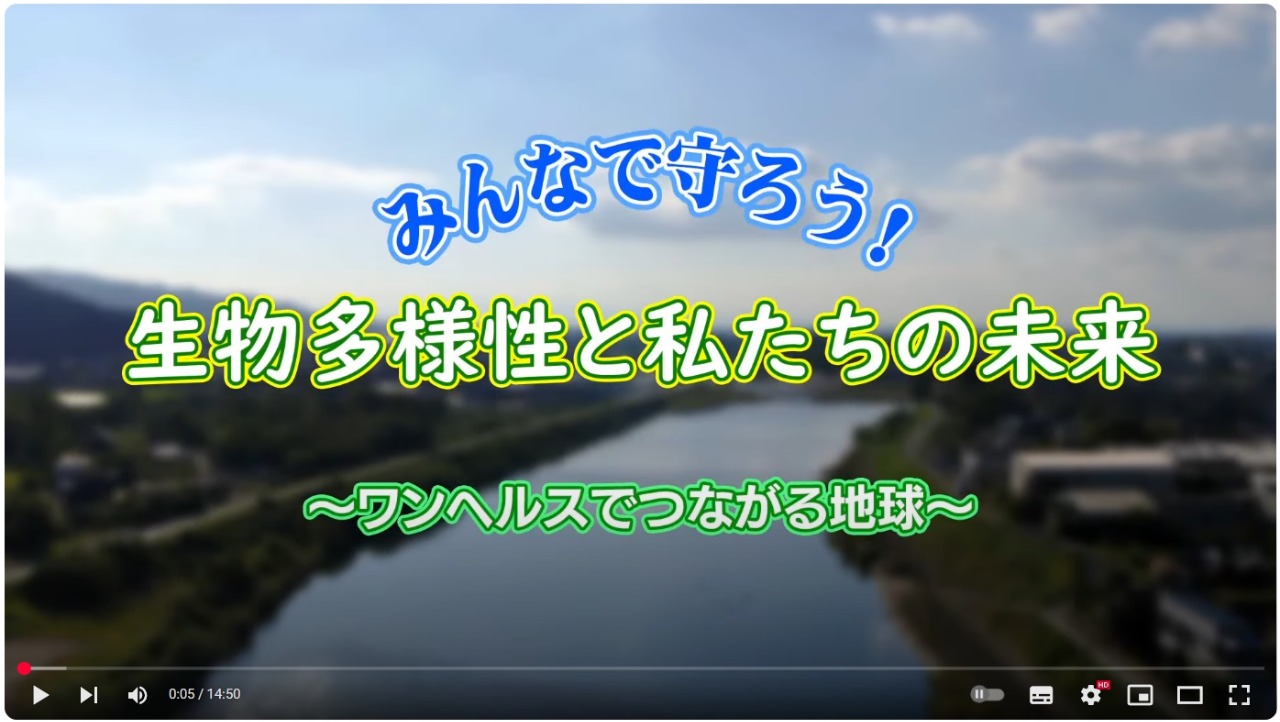 生物多様性ワンヘルス教育動画の画面イメージ