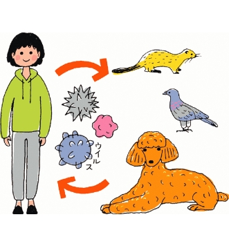 人獣共通感染症対策のイメージ