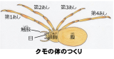 生き物ｑ ａ 福岡県の希少野生生物キッズページ 福岡県レッドデータブック